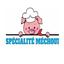 Logo de Casse croûte Spécialité Méchoui