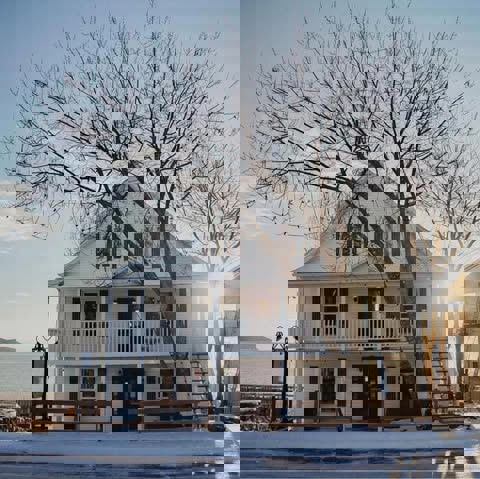 Les Pinsons des Rives