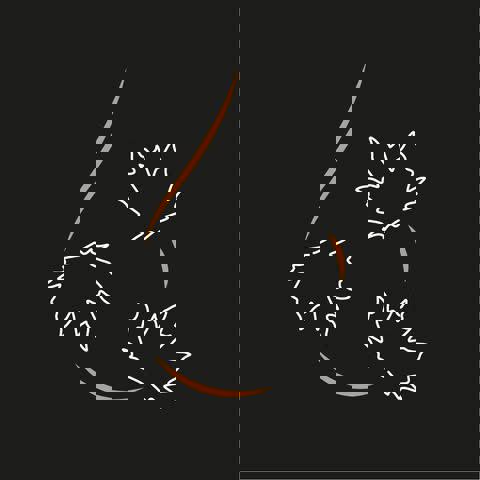 Cabane Claude Benoît