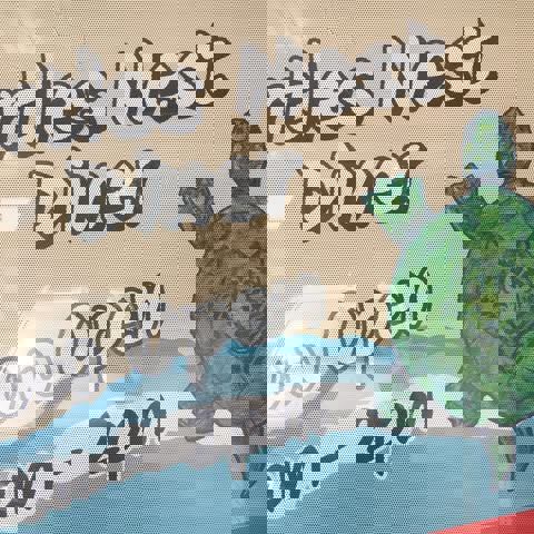 Turtle Nest Diner and Pizzeria