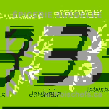 Les trois Chefs Lévis Centre-ville