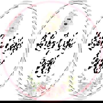 RUBY CAFÉ MTL, Pet Friendly Restaurant, Brunch Restaurant Montreal