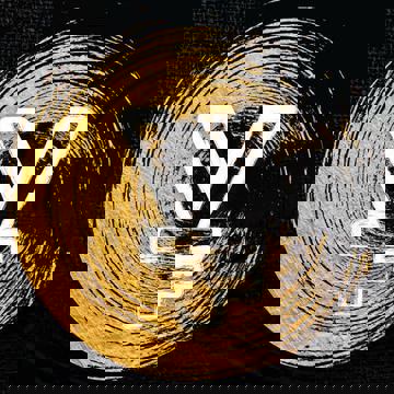 YEN- Cuisine Japonaise