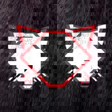 Noctem Artisans Brasseurs St-Roch