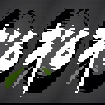 Matsuno Sushi Fusion