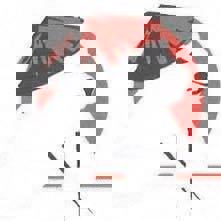 Restaurant L'Oriental du Nord