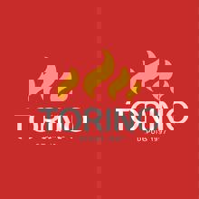 Grillades Torino Des Sources