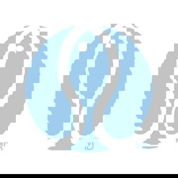 Sushi Shop - 6687 Rue Jean-Talon E