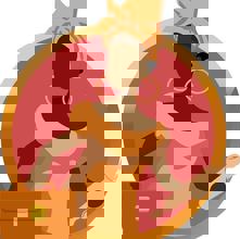 Signaar Saveurs Services Inc