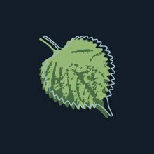 Restaurant Phuong Thao - Maintenant Madame Thao