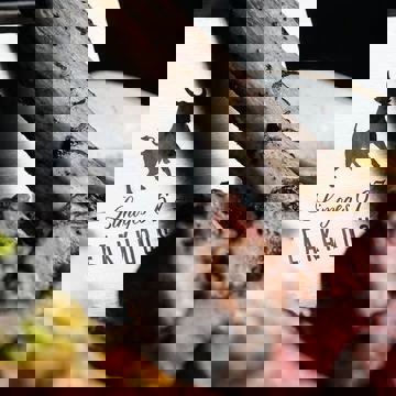 Limoges 67 SteakHouse