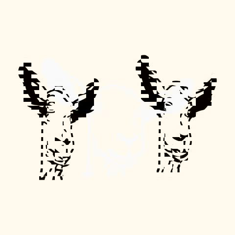 Maison Du Café Happy Goat Coffee Company (Canevas)