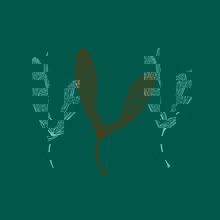 Restaurant Hélicoptère