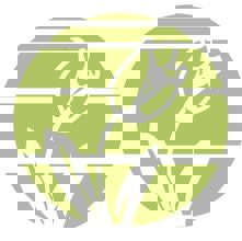 Fleuriste à la Boîte à Fleurs de Laval