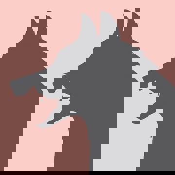 Dans La Gueule Du Loup