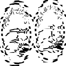 Les délices Matsheshu