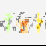 Le Café Des Trois Pommiers