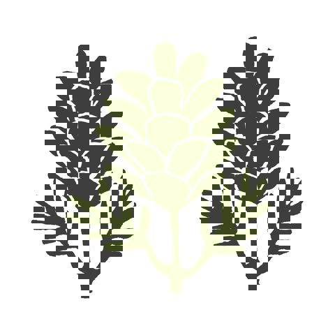 Terrasse du Square - Restaurant & Bar