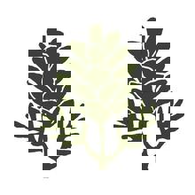 Terrasse du Square - Restaurant & Bar