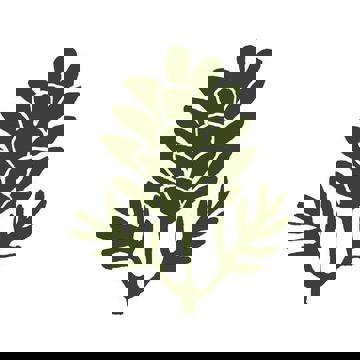 Terrasse du Square - Restaurant & Bar