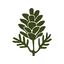 Logo of Terrasse du Square - Restaurant & Bar