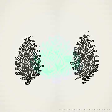 Restaurant Bona Fide