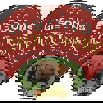 Les Bisons Chouinard