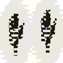 Bol Humeur Café Boutique