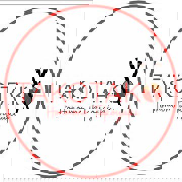 Takotako - Street food japonaise
