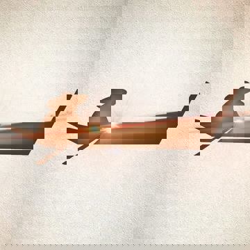 Maison Thaïlandaise