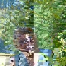 Gite Les Deux Pignons - Petit Saguenay - L'Anse Saint Jean -