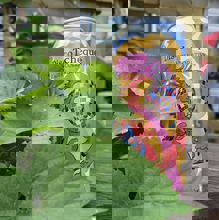 Bières et Saveurs Du Terroir Inc