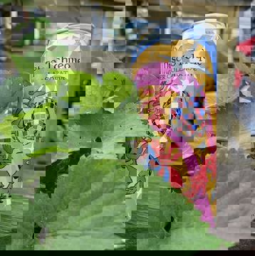 Bières et Saveurs Du Terroir Inc