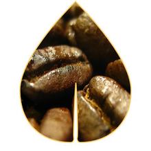 Las Fincas Fabrique de Café