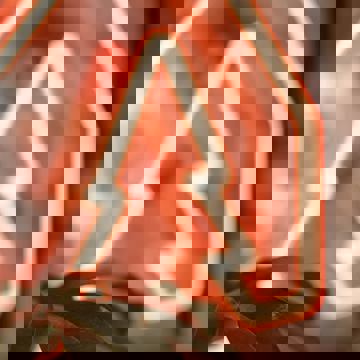 Olodge - Café Plein Air