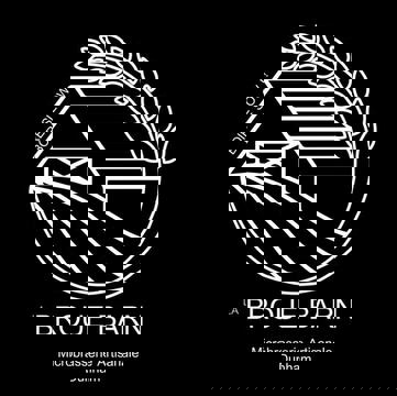 La Broue Barn - Microbrasserie Artisanale