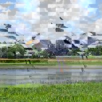 Les Petits Trésors B&B