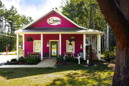 Chez Babine - Tartes artisanales, crème glacée molle avec enrobages de chocolat belge