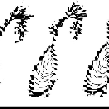 Entre l'algue et l'écorce (Restaurant)