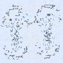 Connexion Émotion Énergie Équilibre