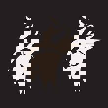 Festival Western de St-Tite