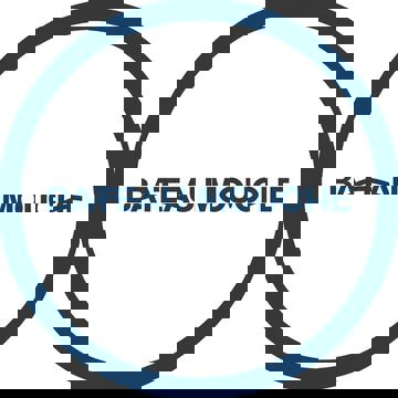 Le Bateau-Mouche au Vieux-Port de Montréal