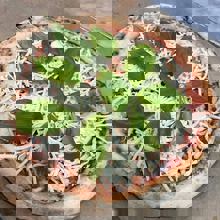 Restaurant Angelique - Pizzeria