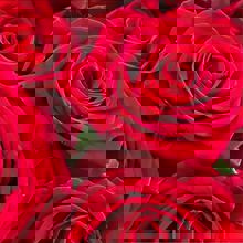 Pizza Mia (Marché Atwater)