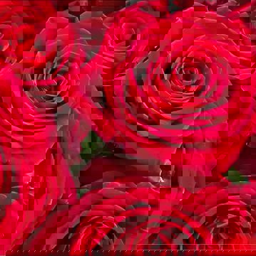 Pizza Mia (Marché Atwater)