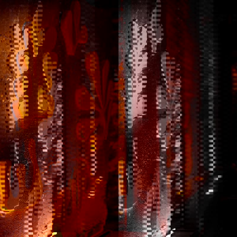 Restaurant Sauvage photo 1