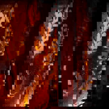 Restaurant Sauvage photo 1