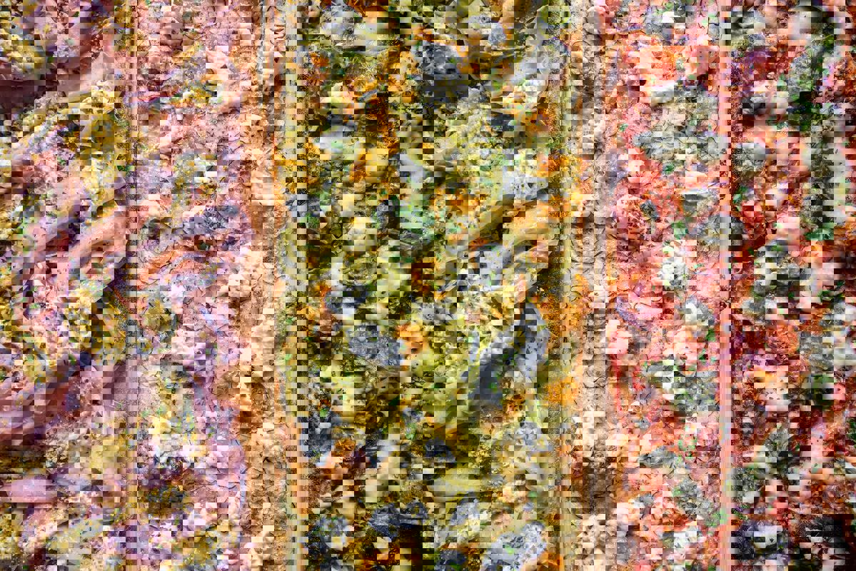 Morso Pizzeria (St-Zotique) photo 1