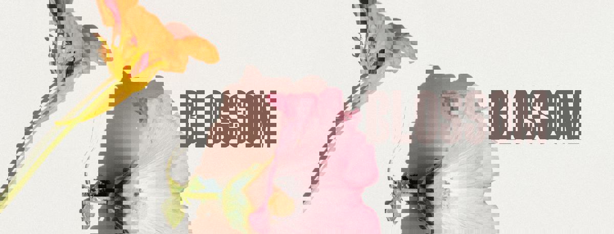 Le Blossom — Village | Sushi & Cocktails à Montréal photo 1