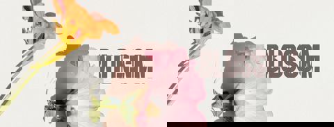 Le Blossom — Village | Sushi & Cocktails à Montréal photo 1